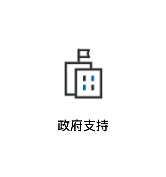 Government Support